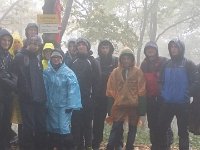 zloty lisc 2017 (23)